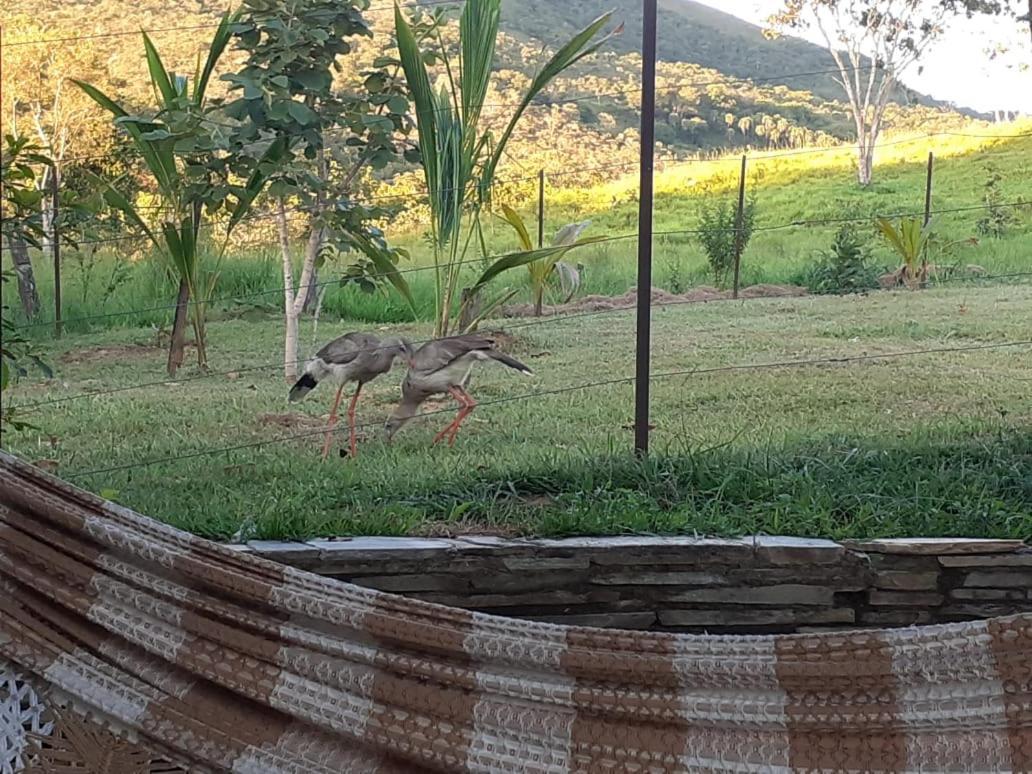 Fazenda Tarumã Pirenópolis Exterior foto